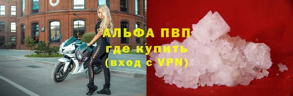 крисы Козельск