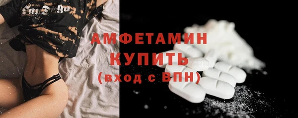крисы Козельск
