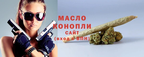 крисы Козельск