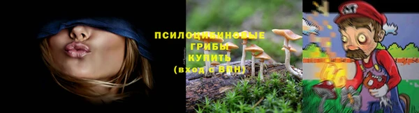 крисы Козельск