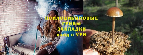 крисы Козельск