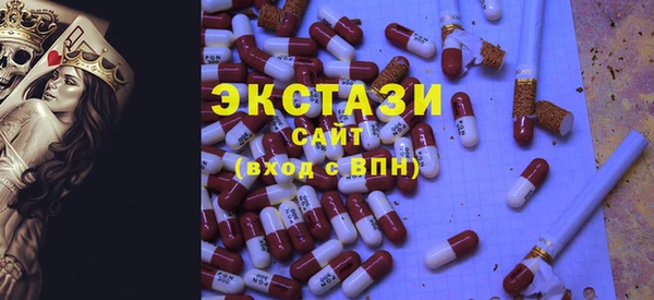 крисы Козельск