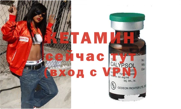 крисы Козельск