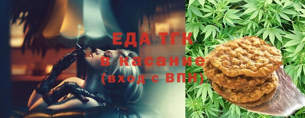 крисы Козельск
