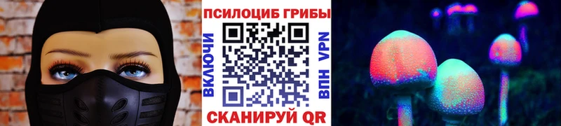 Купить закладки  Калтан  Псилоцибиновые грибы Psilocybe 